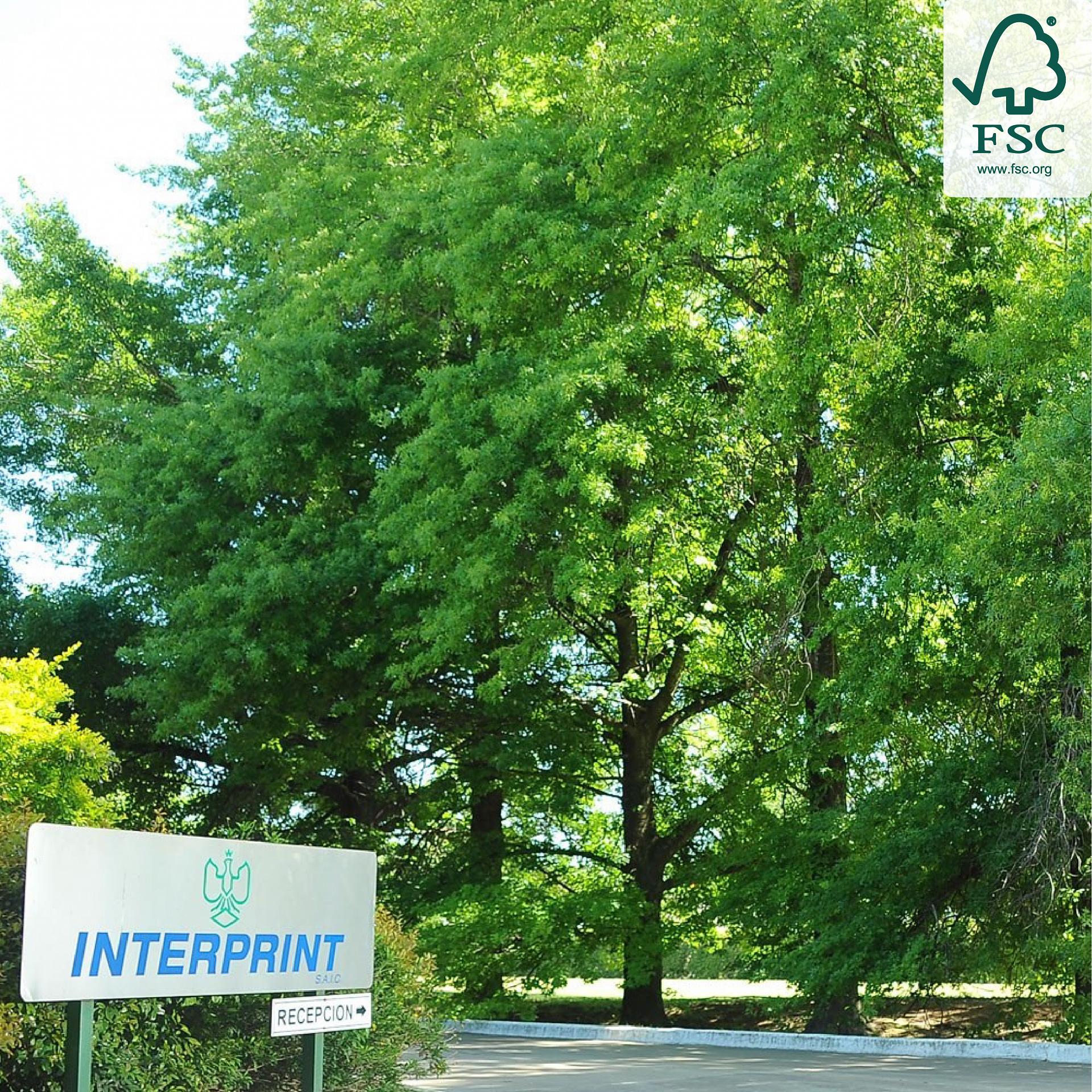 Imagen de INTERPRINT